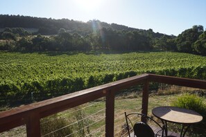 Vineyard view - Gisborne Peak Winery Cottages (Gisborne)