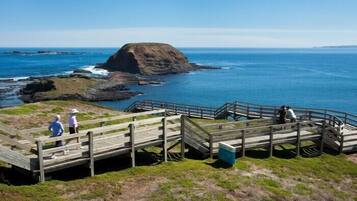 Vlak bij het strand, strandlakens