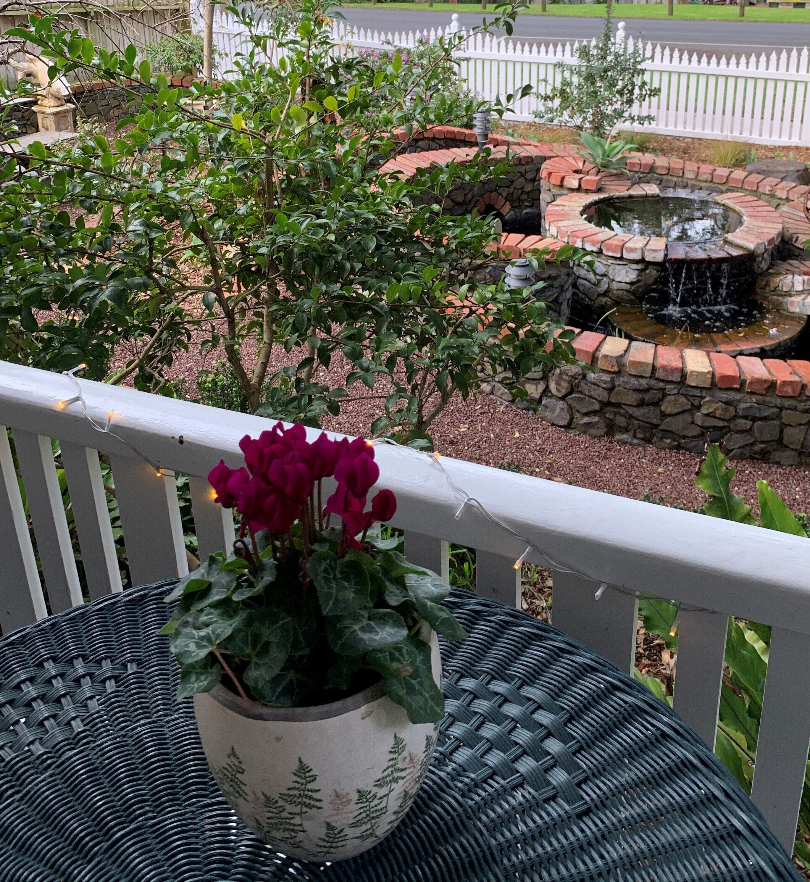 A potted plant with red flowers on a wicker table.