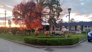 A motel with a parking lot, picnic tables, and a large tree with autumn leaves.