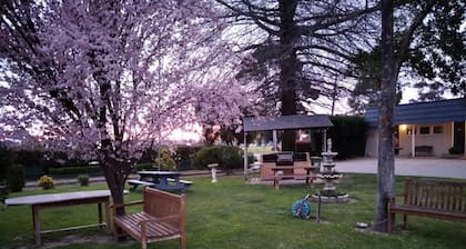 City Park Motel & Apartments