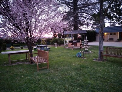 City Park Motel & Apartments