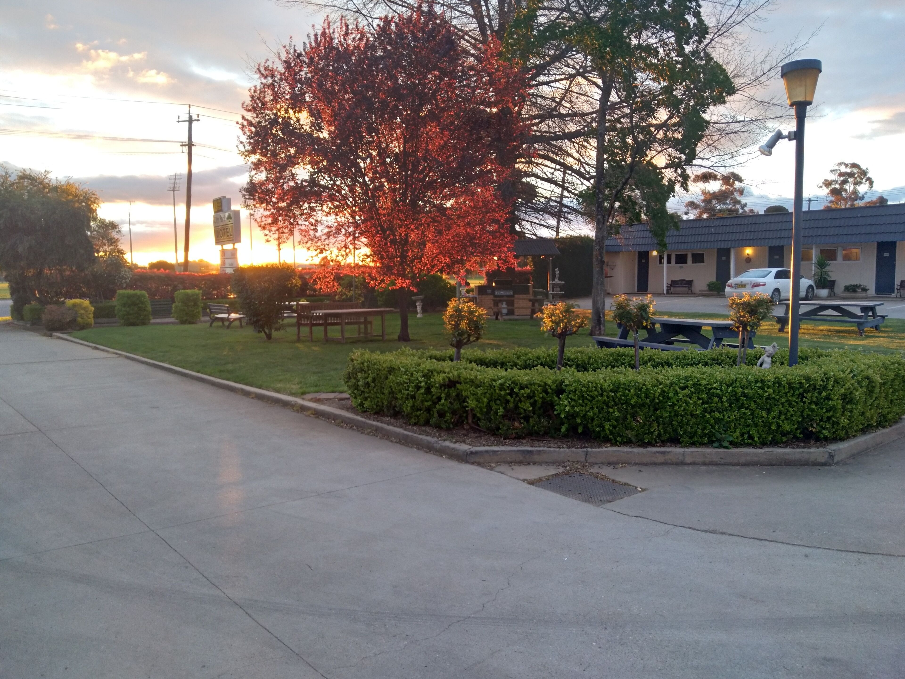 A parking lot with a building in the background, a tree with red leaves, and a street lamp.