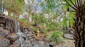 Un jardín con una pequeña cascada, rocas y diversas plantas.