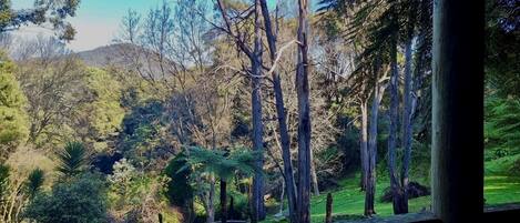 4 habitaciones y ropa de cama