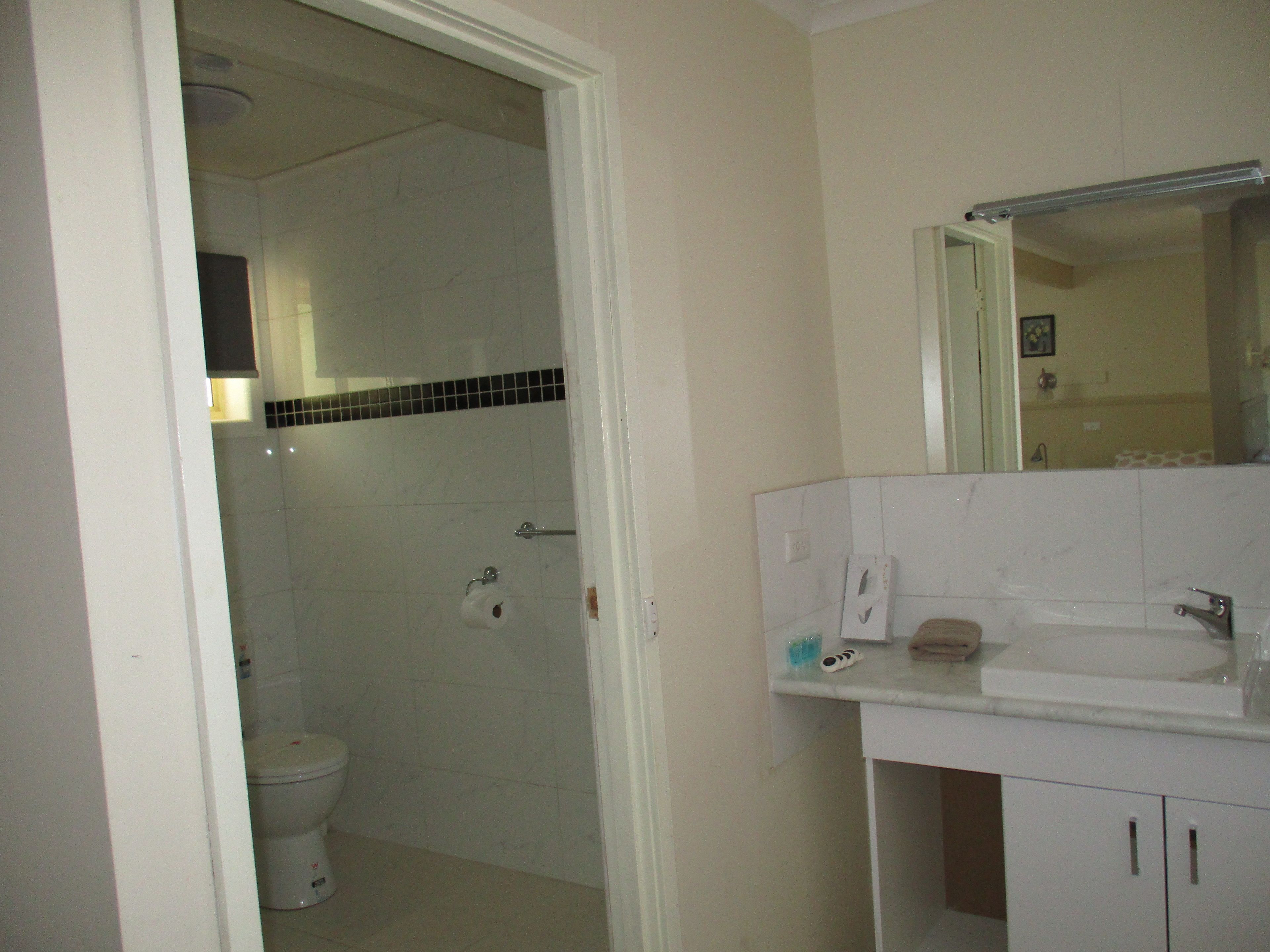 A bathroom with a toilet, a shower, and a sink with a mirror above it.