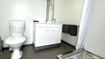 Standard Studio, Kitchen (Studio) | Bathroom shower