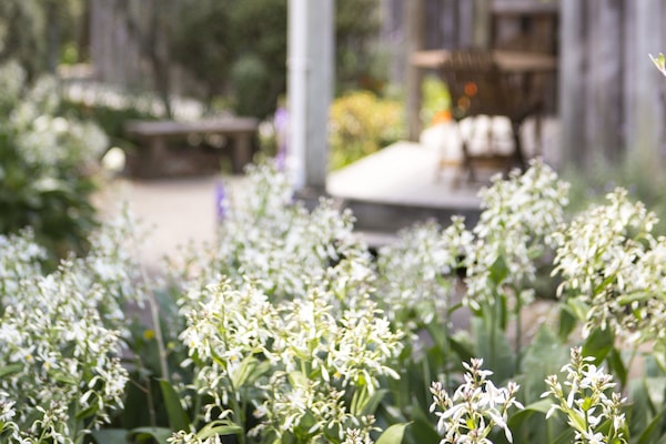 Cottage, Ensuite | Terrace/patio