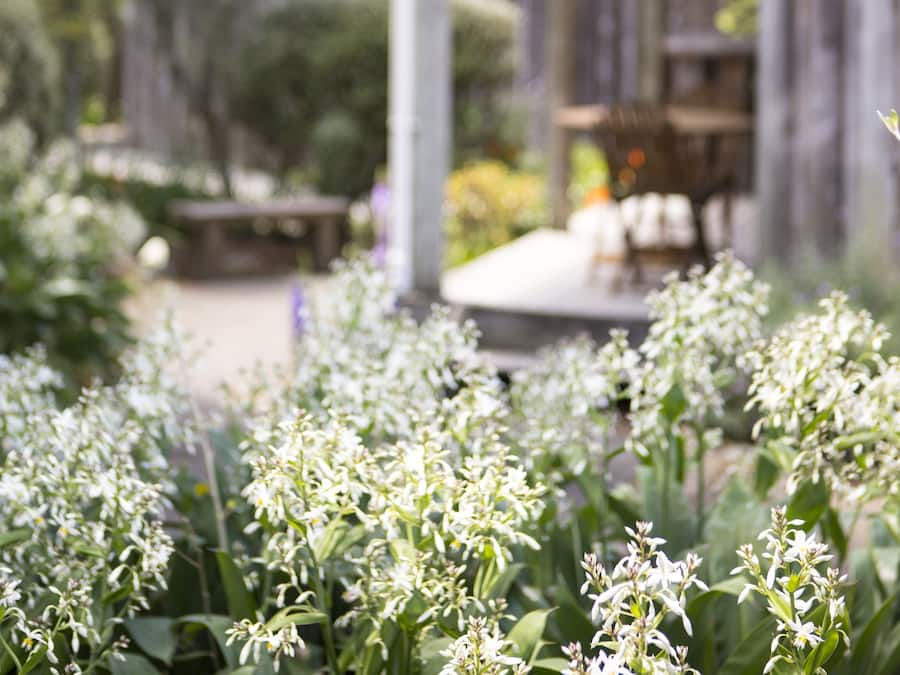 Cottage, Ensuite | Terrace/patio