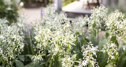 Church Accommodation