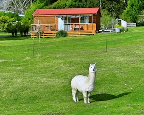 Family Cabin, 2 Bedrooms, Mountain View | View from room - Maydena Mountain Cabins (Maydena)