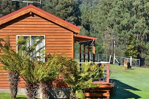A wooden cabin with a red roof, a porch, and a fenced yard. - Maydena Mountain Cabins (Maydena)