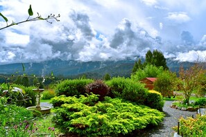 高級公寓, 1 間臥室, 山景 | 山景