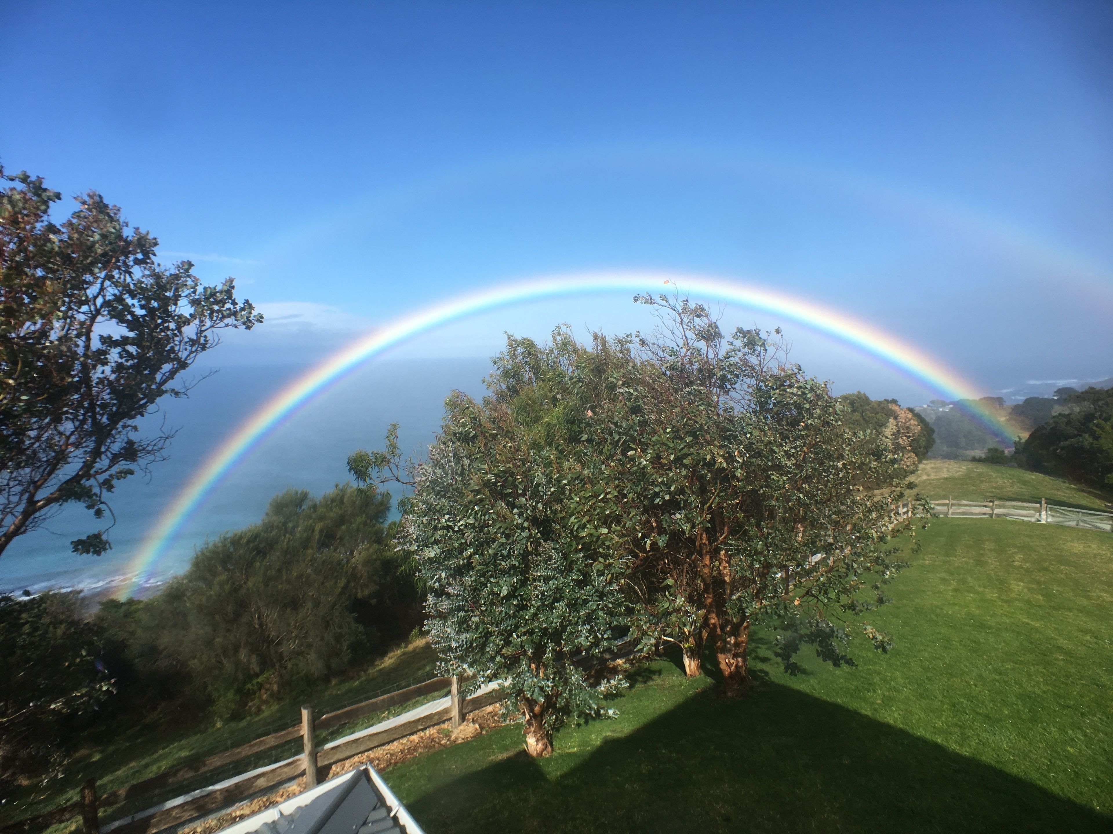 A lush green landscape with a rainbow arching over a tree and a grassy area.
