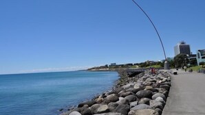 Unclassified image, 5 of 37, button - 16 Havelock (New Plymouth)