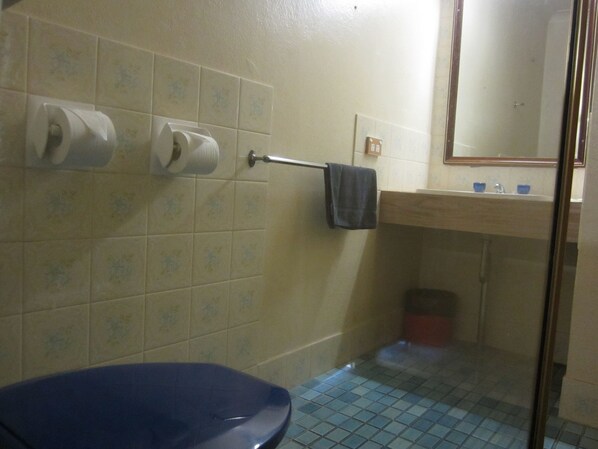 Ein Badezimmer mit Toilette, Handtuchhalter mit Handtuch und Spiegel über einem Waschbecken.