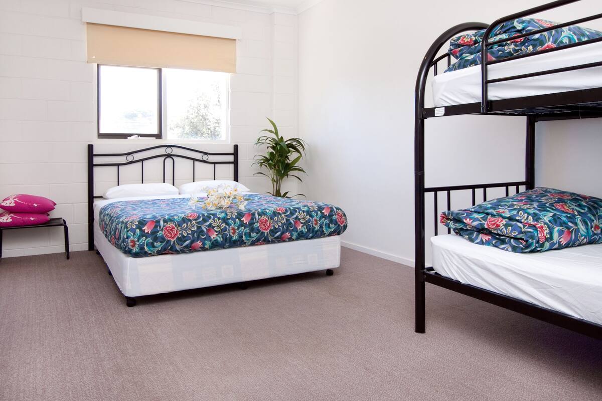 Une chambre avec un lit superposé, un lit simple, une petite table avec une plante et une fenêtre avec des stores.