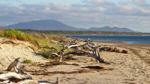 A beach with driftwood, sand, and a mountain in the background. - Promhills Cabins (Yanakie)