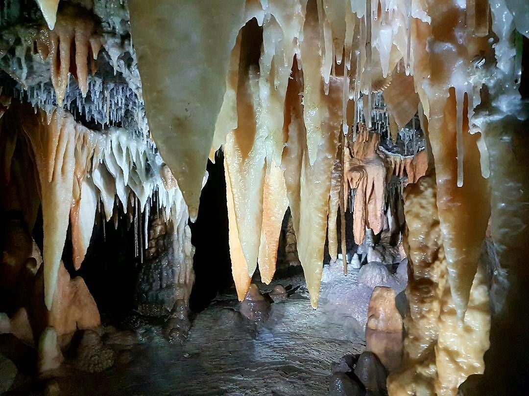 Severdighet