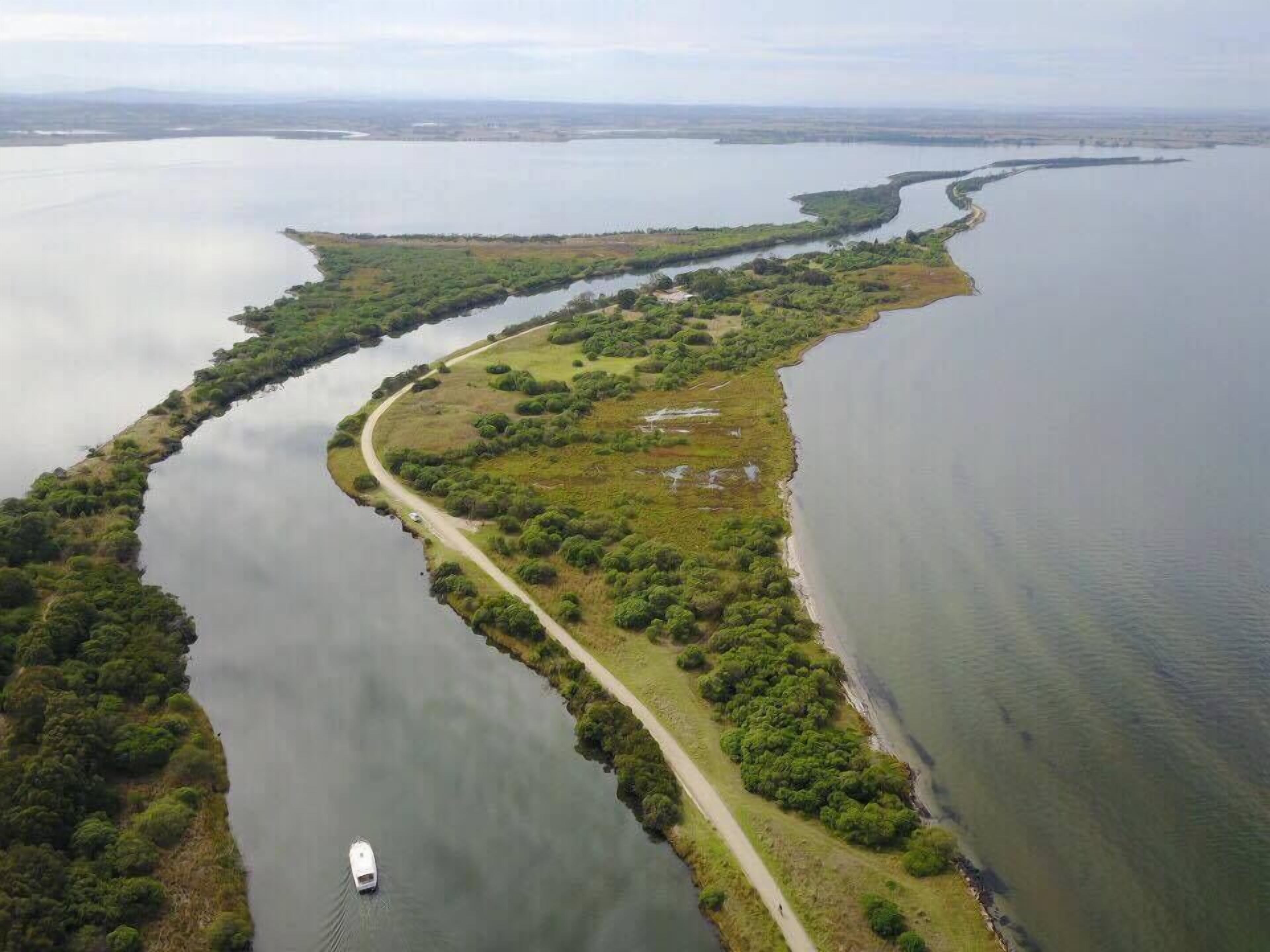 Luchtbeeld van een kustgebied met een kronkelende weg langs het water, omgeven door weelderige begroeiing.