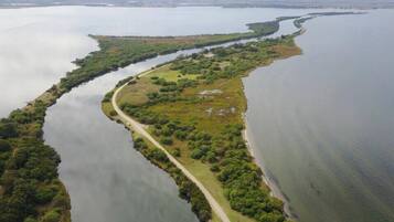 Luchtbeeld van een kustgebied met een kronkelende weg langs het water, omgeven door weelderige begroeiing.