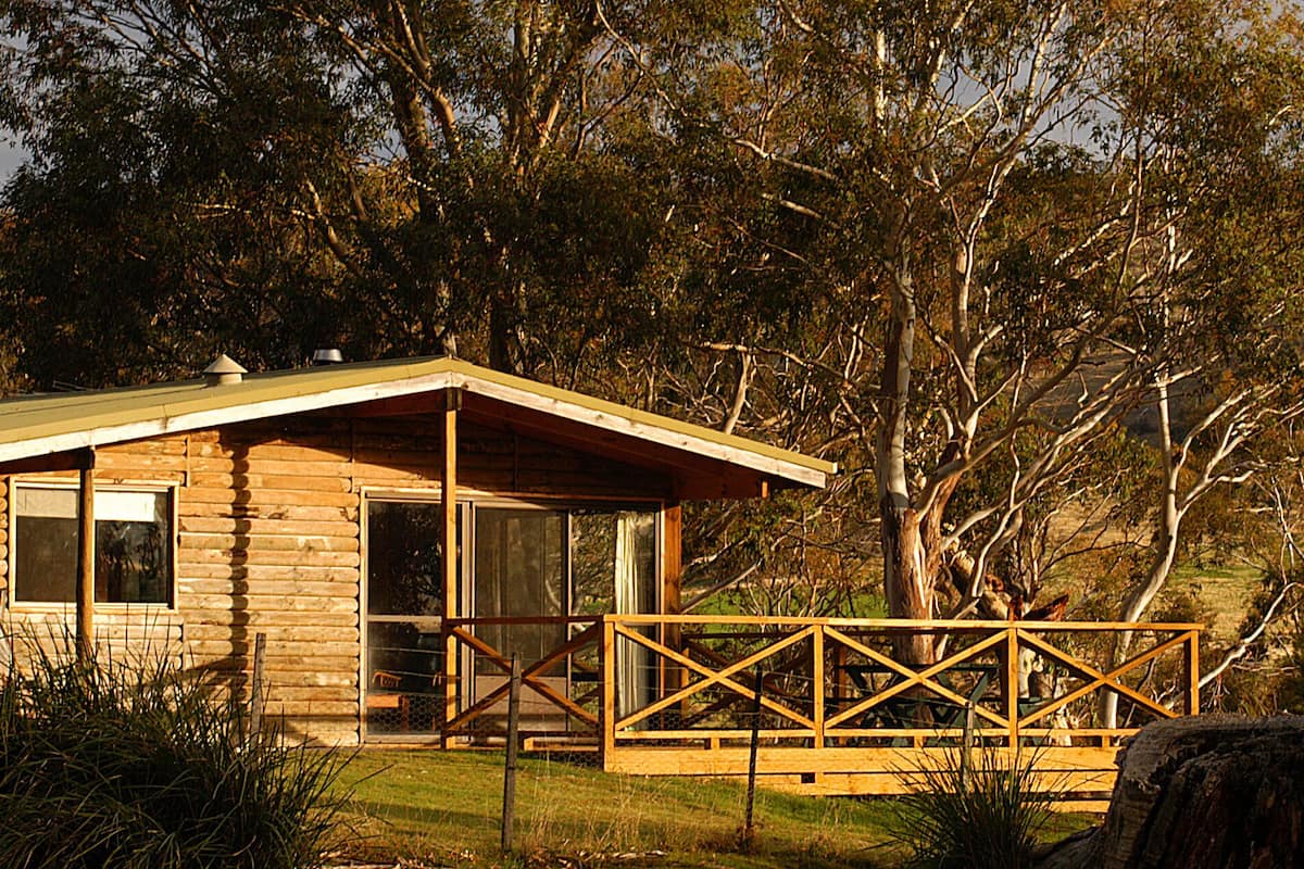 A wooden cabin with a porch, surrounded by trees and a grassy hill.