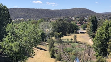 A rural landscape with a river, trees, and a distant town.