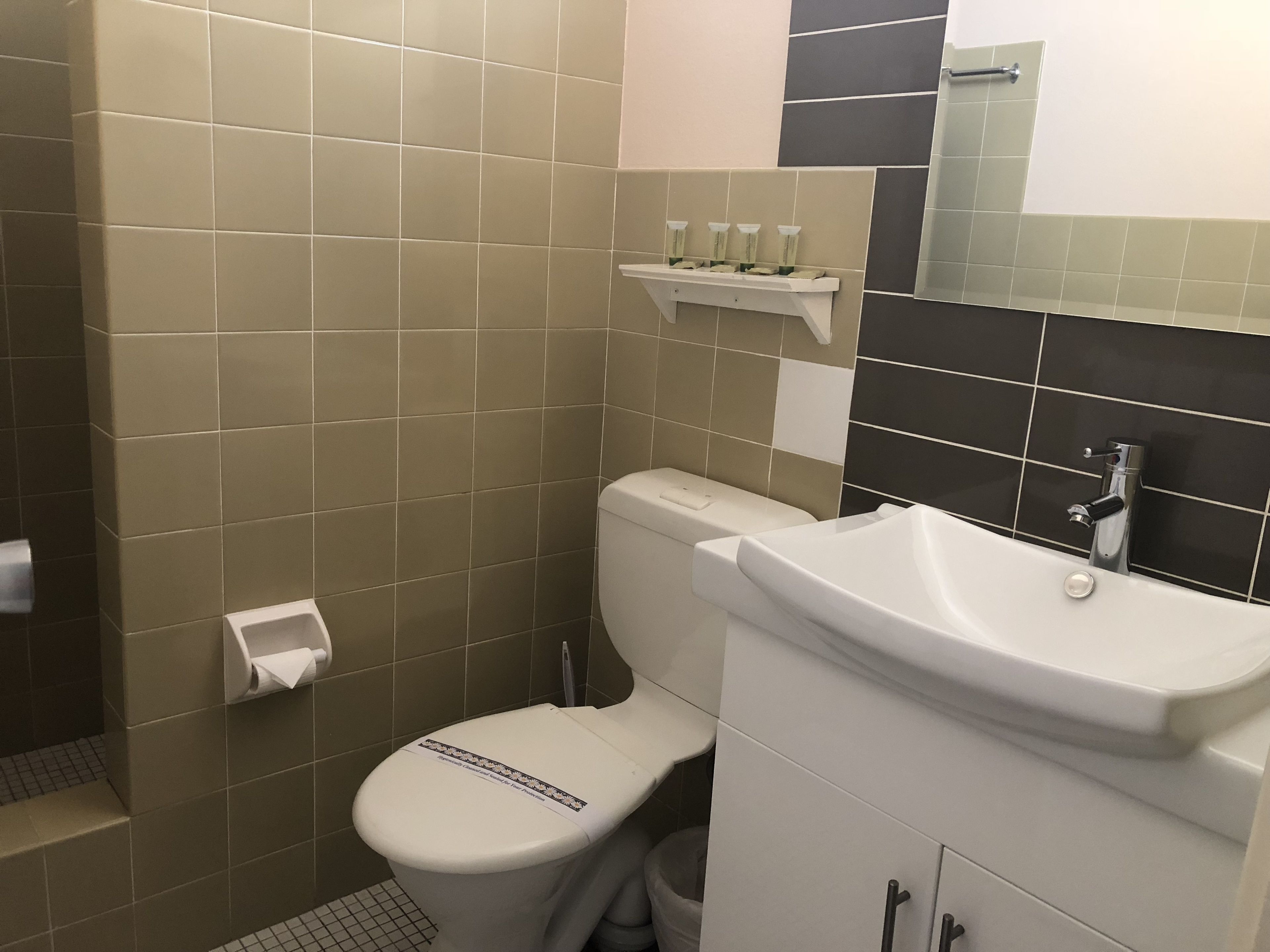 Un baño con inodoro, lavamanos y espejo.