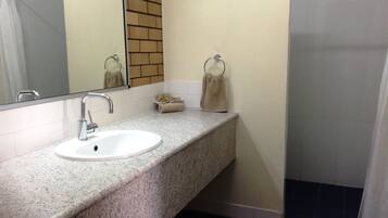 Deluxe Room, Non Smoking (Queen Deluxe Room) | Bathroom | Shower, hair dryer, towels