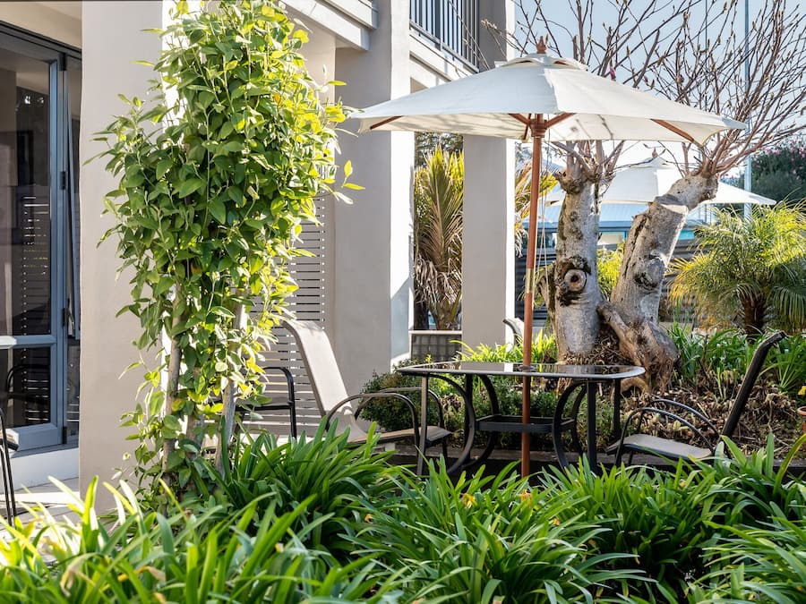 An outdoor seating area with a table and chairs, surrounded by lush greenery and a tree.