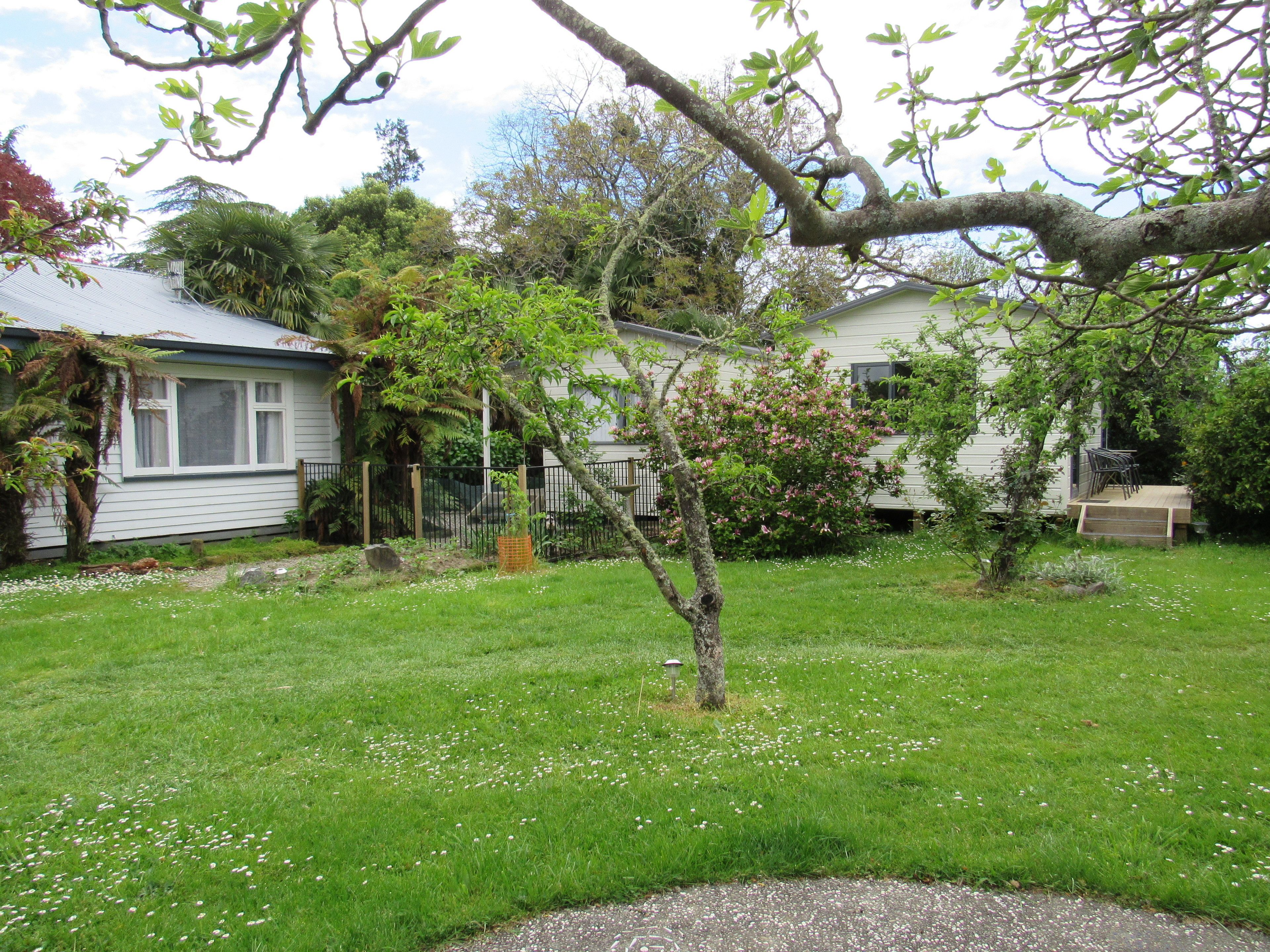 A residential property with a well-maintained lawn, a small tree, and a house with a visible window and door.