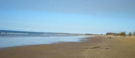 Plage à proximité