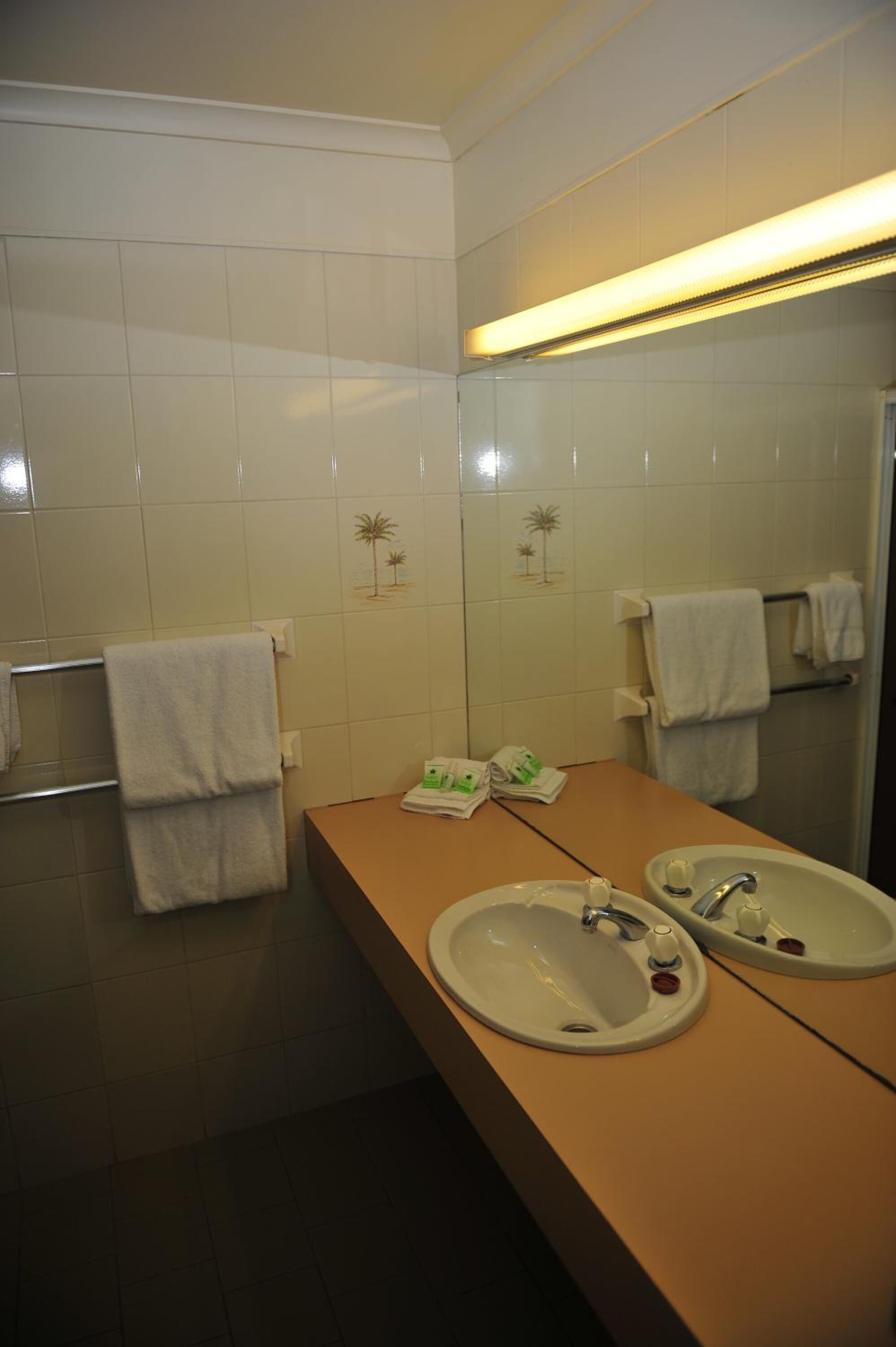A bathroom with two sinks, a mirror, and a towel rack.