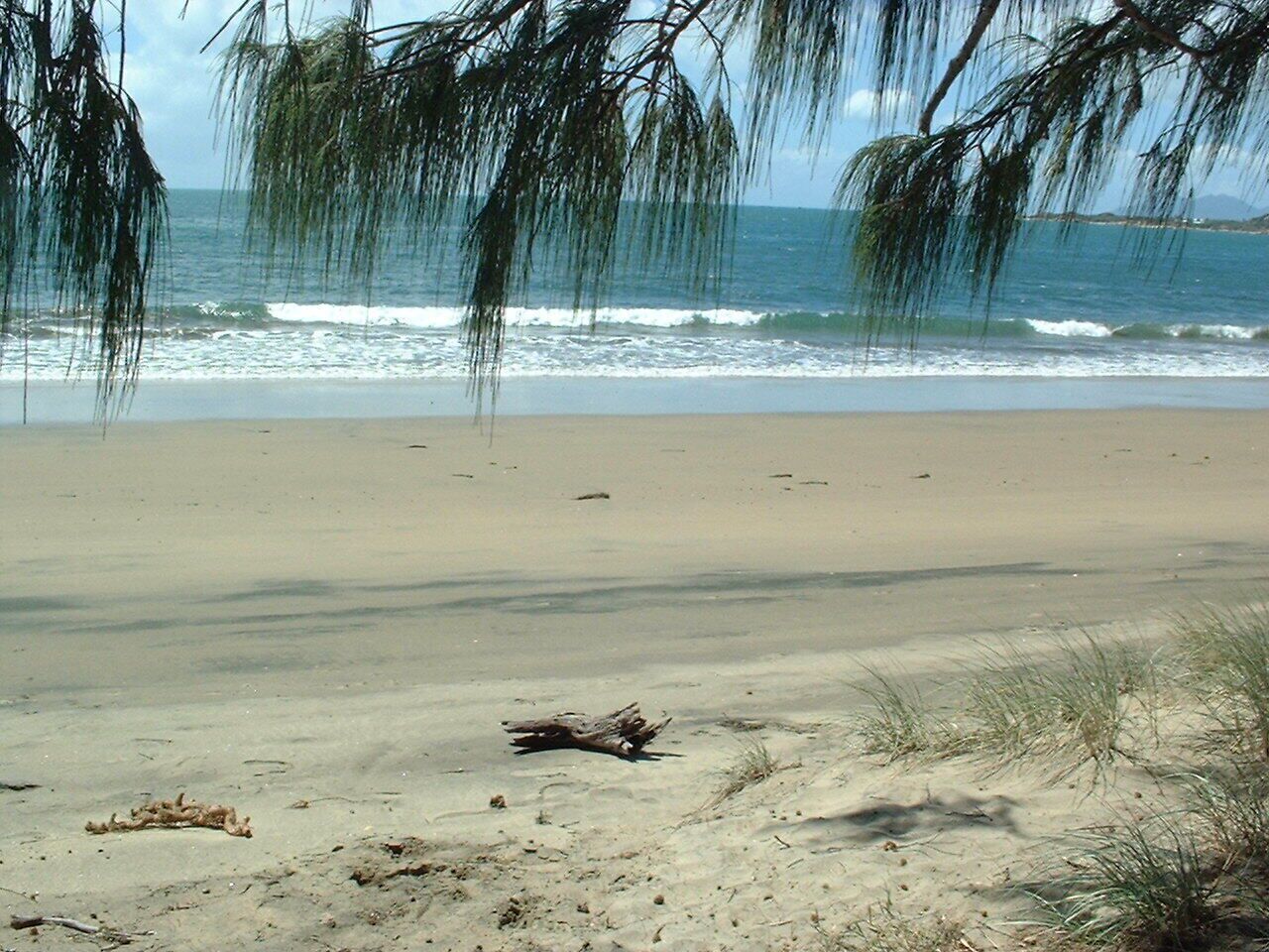 A beach with sand, waves, and sparse vegetation.
