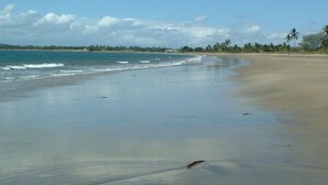 A wide sandy beach with gentle waves, palm trees, and a clear sky. - Ocean Breeze Units (Bowen)