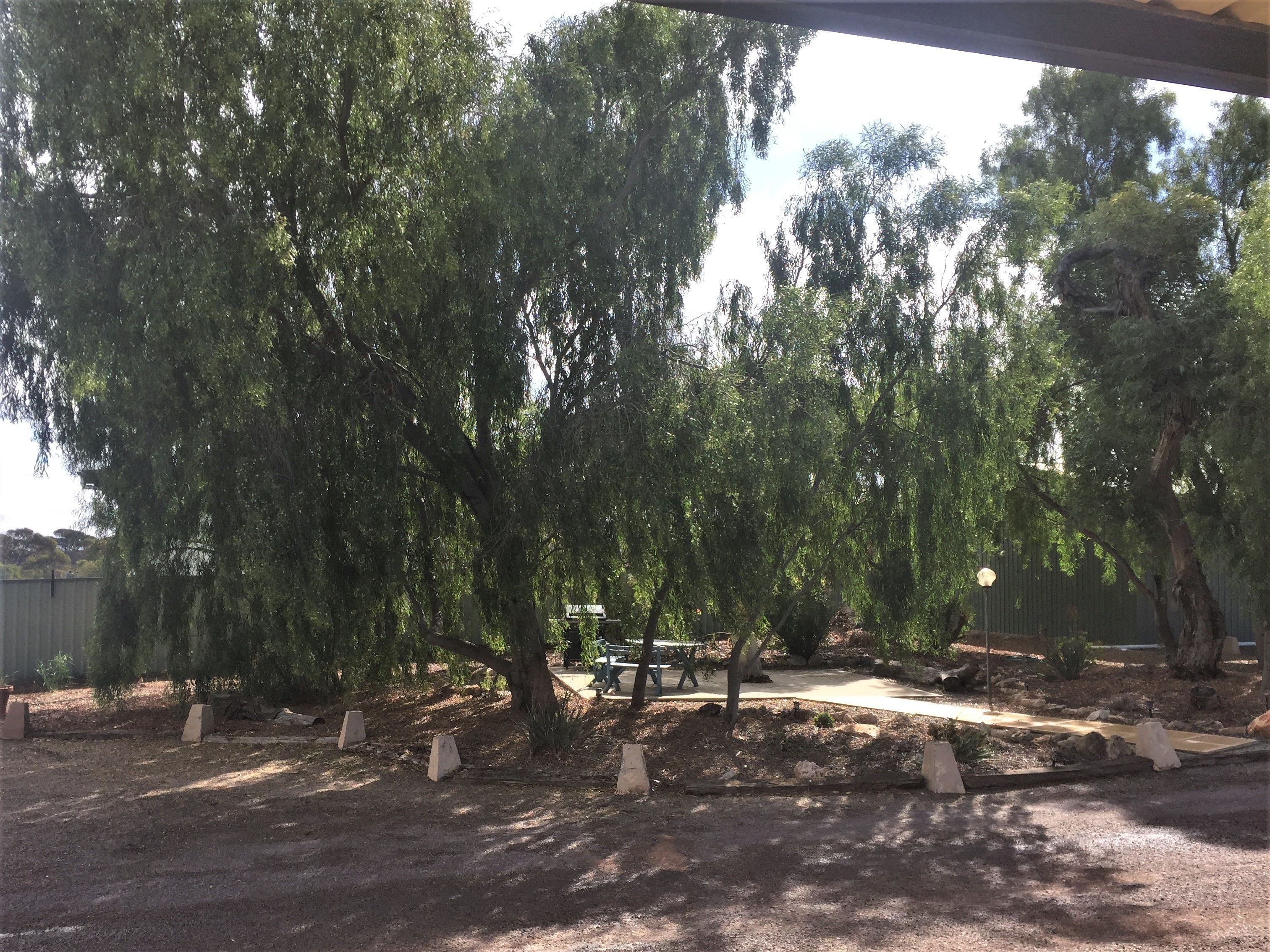 family room | view from room