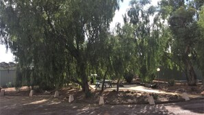 A park with trees, a paved path, and a bench.