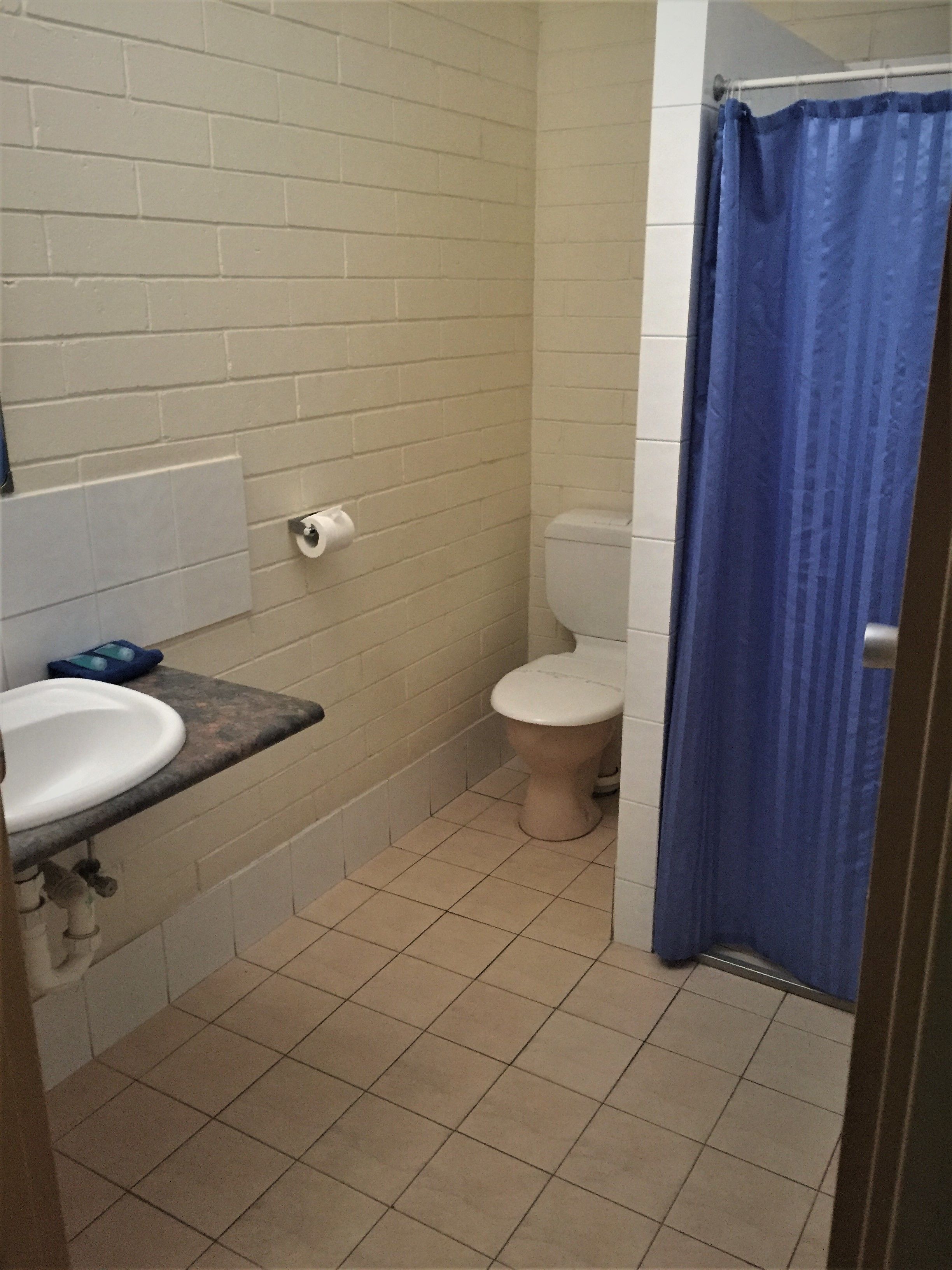 A small bathroom with a white sink, a toilet, and a blue shower curtain.