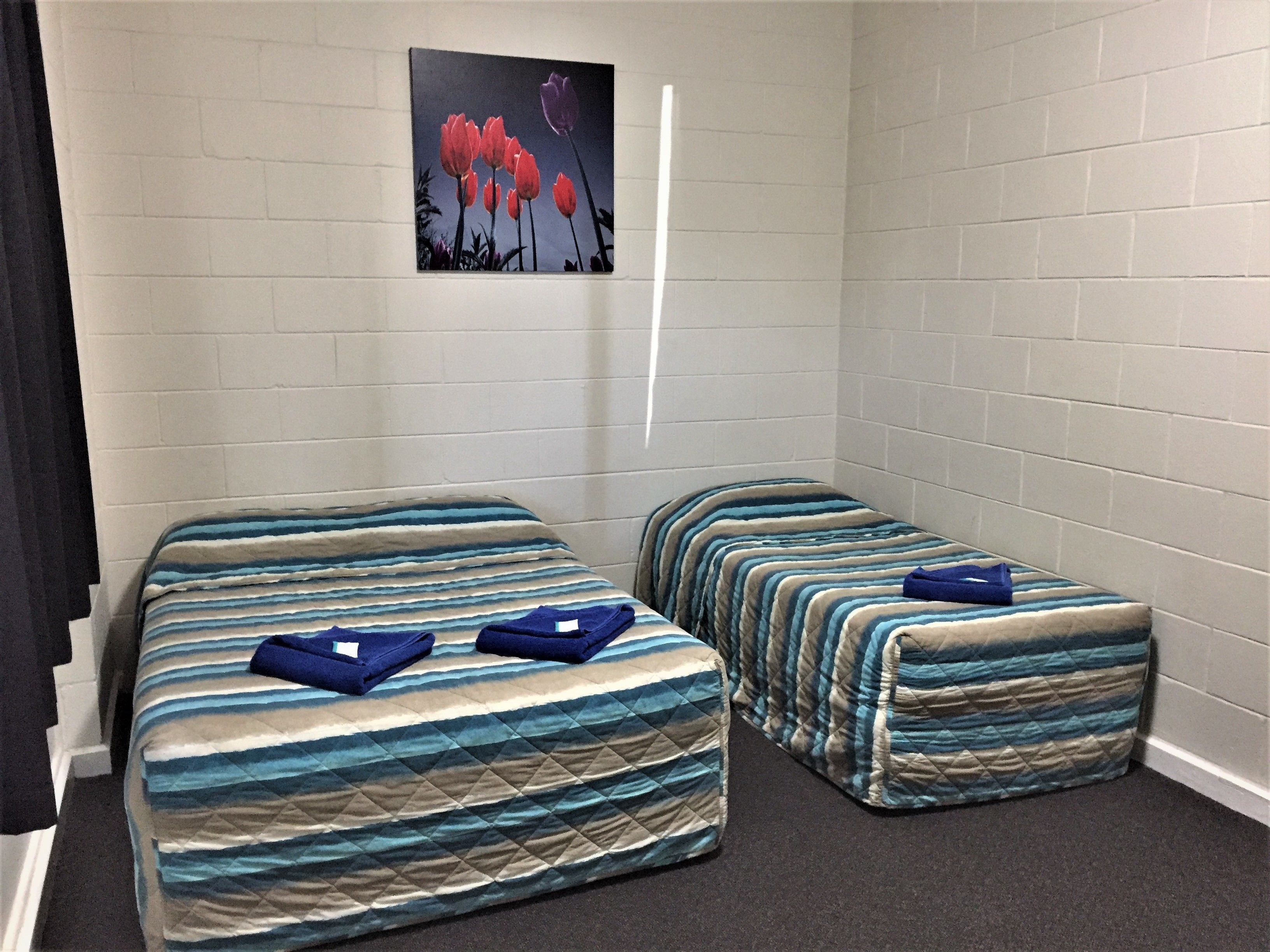 double or twin room pet friendly | desk, blackout curtains, free wifi, bed sheets