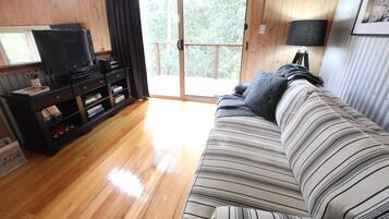 Flat-screen TV, fireplace, DVD player, first-run films