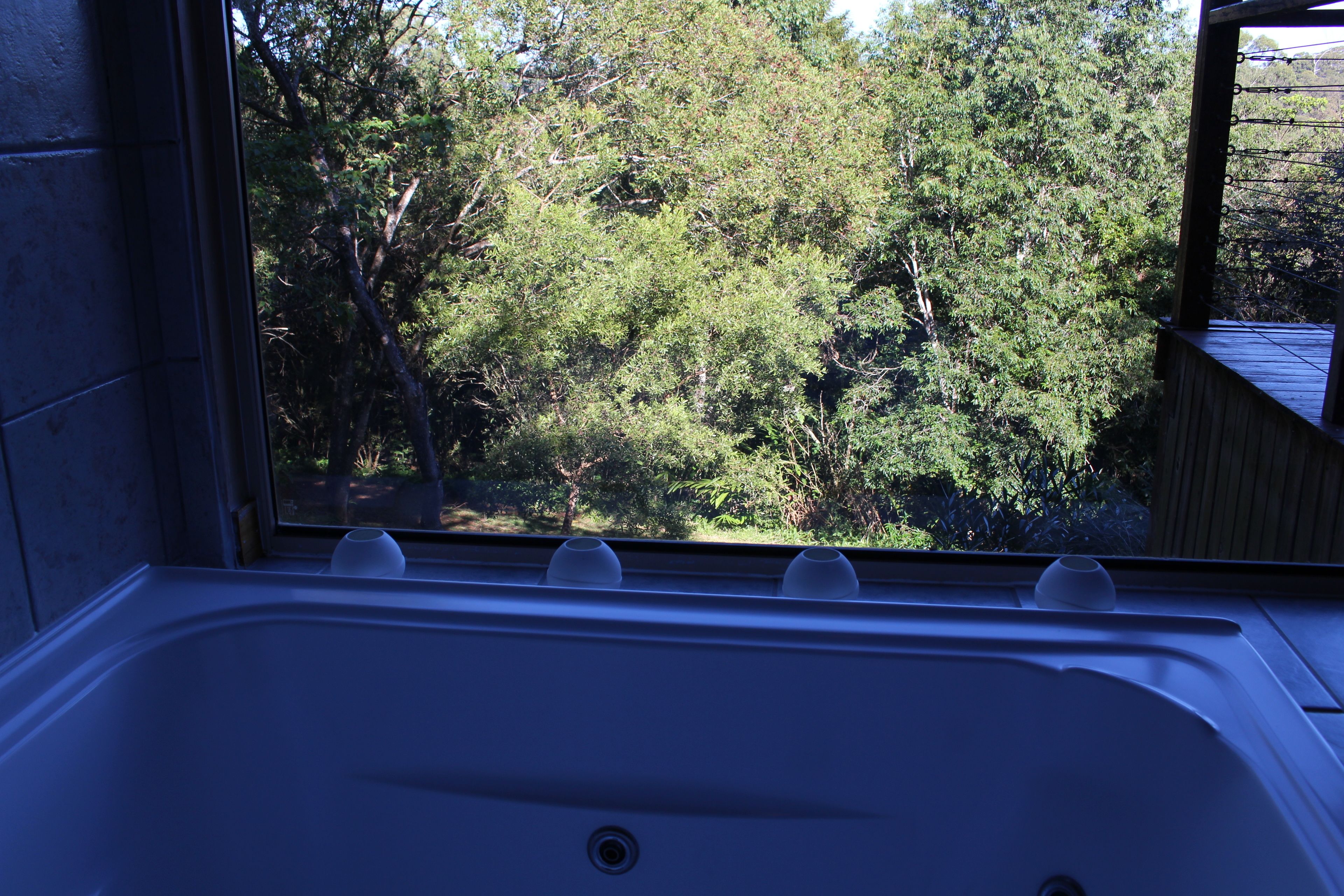 A bathroom with a bathtub and a window overlooking a forested area.
