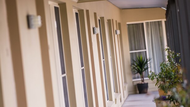Un pasillo con varias ventanas y puertas, una planta en maceta y piso de concreto.