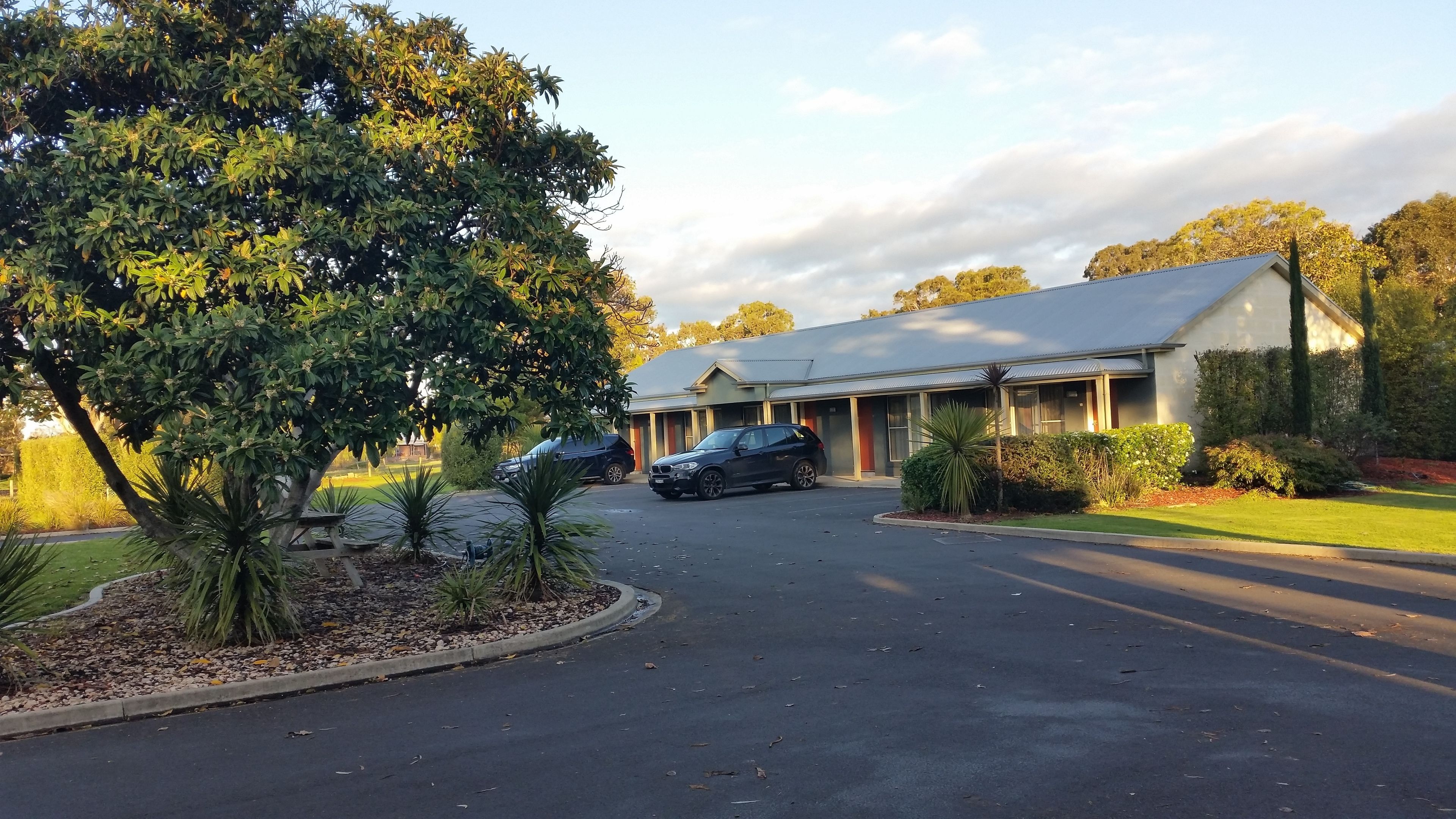 A motel with a paved driveway, parked cars, and a large tree in the foreground.