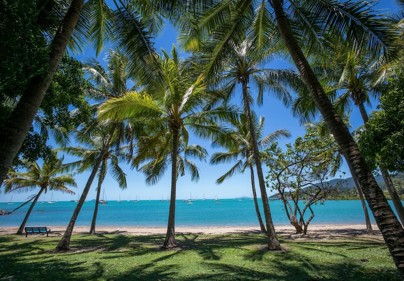 Airlie Beach YHA - Hostel Reviews, Deals & Photos 2026 - Expedia Airlie Beach YHA - Hostel Reviews, Deals & Photos 2026 - Expedia