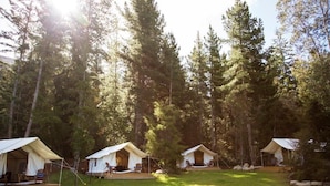 A forested campsite with three tents, each with a porch and seating area. - The Camp - Lake Hawea (Lake Hawea)