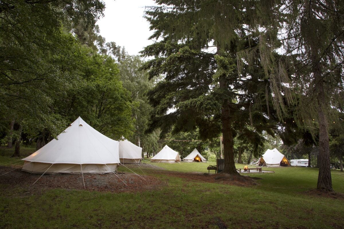 A campsite with multiple tents, surrounded by trees.
