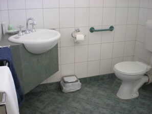 Bathroom features a sink, toilet, and green-tiled floor.
