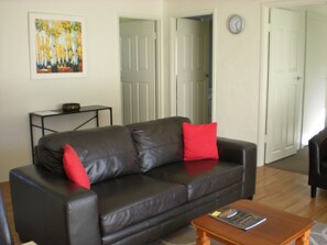 تلفزيون بشاشة مسطحة، مشغل دي في دي