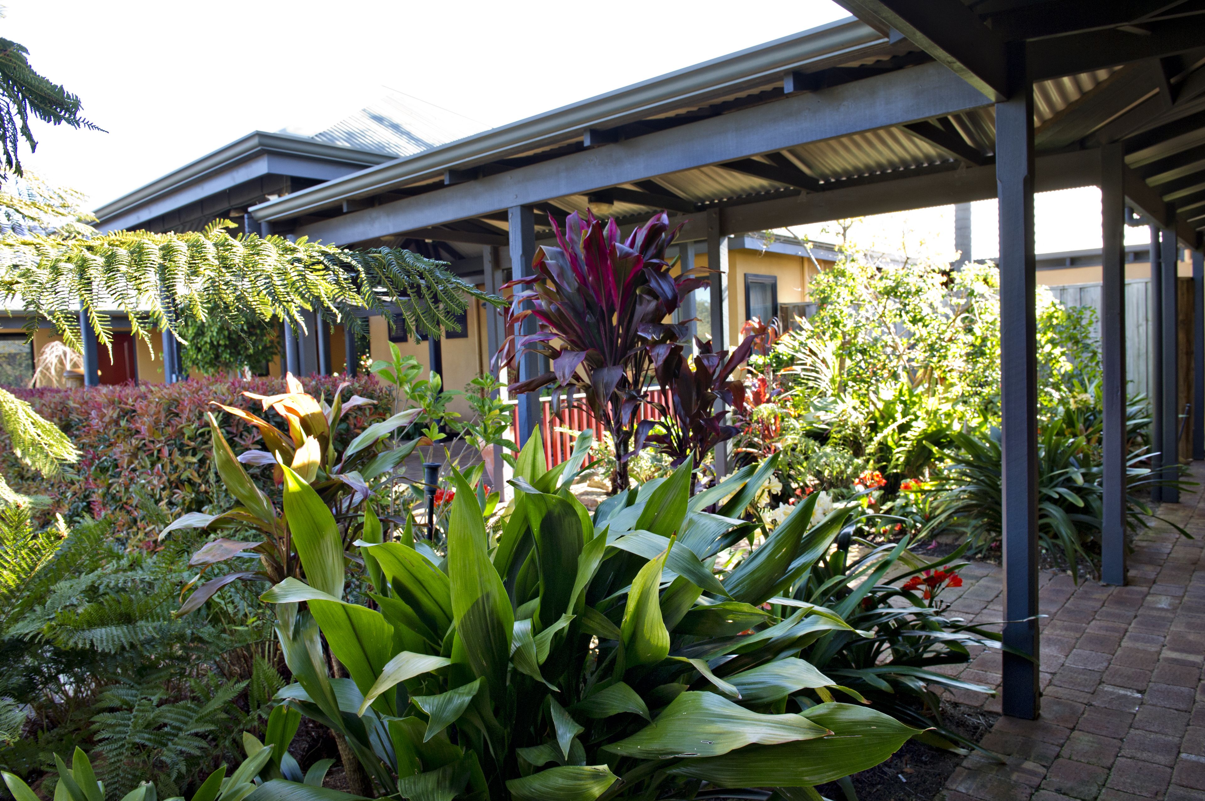 A covered outdoor area with various plants and a brick pathway.
