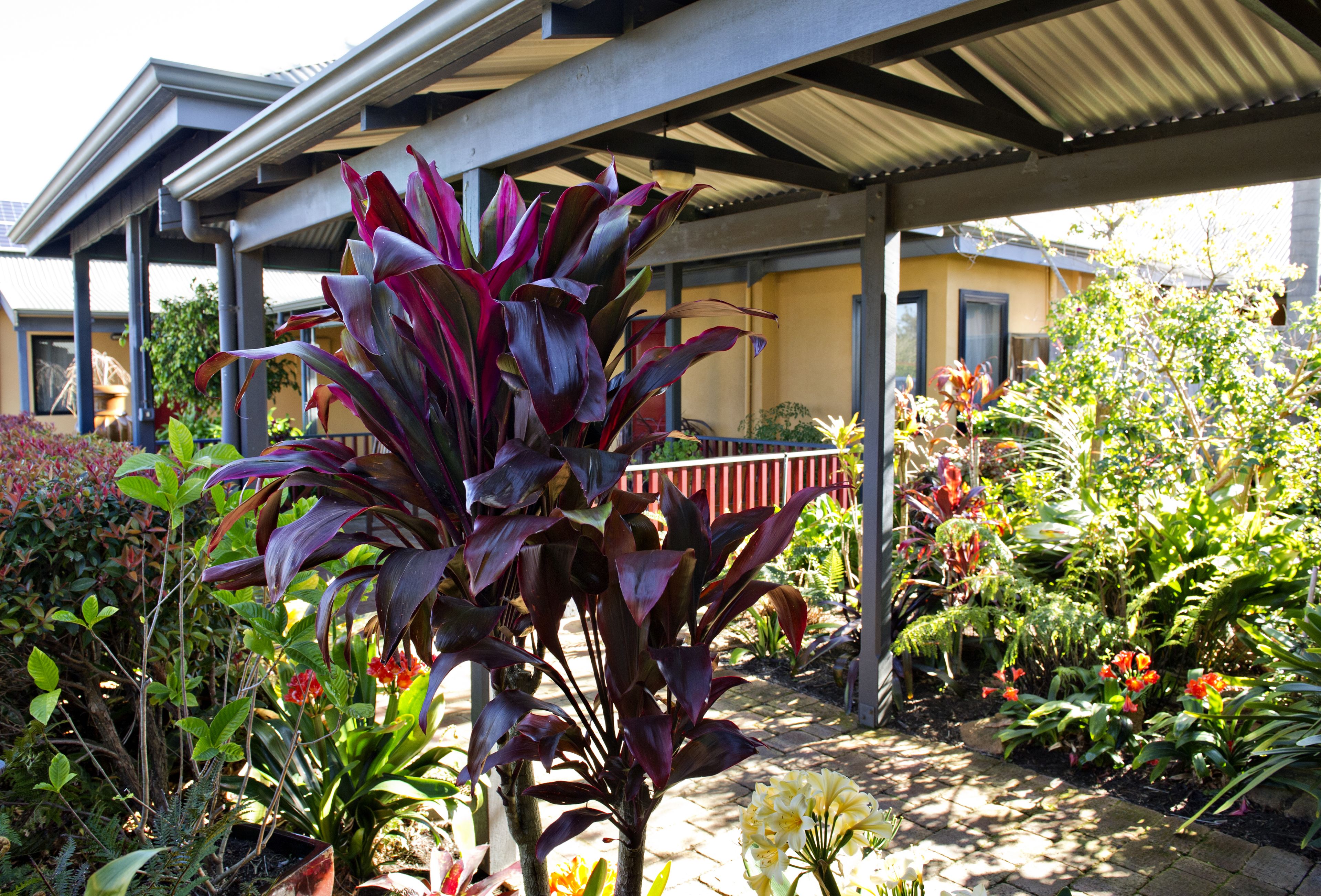Un espacio al aire libre cubierto con diversas plantas y flores en macetas.